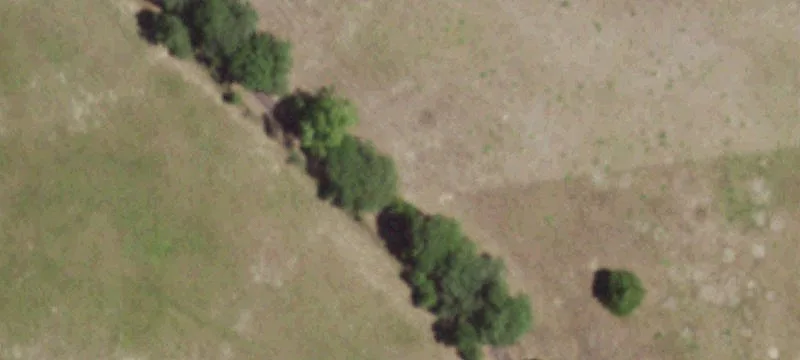 Wooded Acreage with Pond