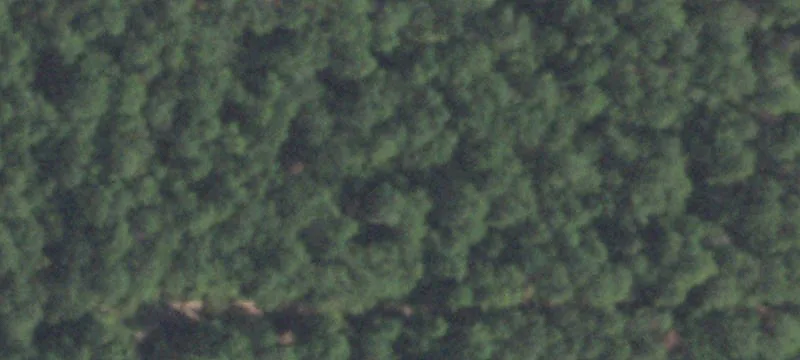 0.26 Acre Wooded Lot