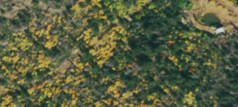 Land Parcel Bordering National Forest