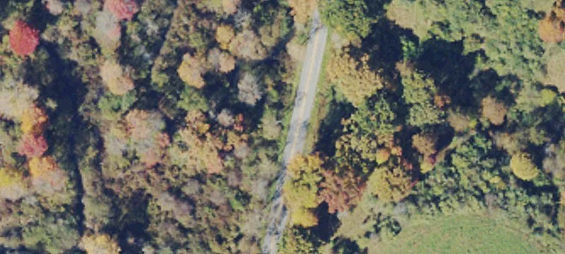 20 Acres on Tioga Road