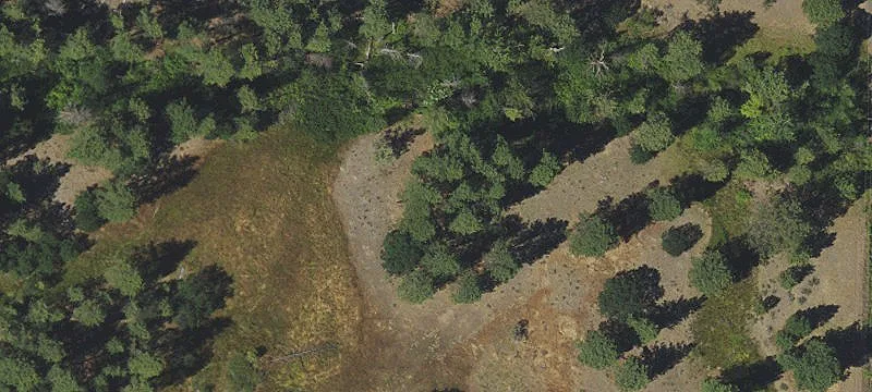 Recreational Land Near Pine Hollow