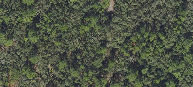 Homosassa Land: 19.67-Acre Property