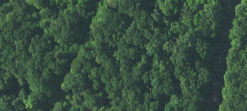 Unrestricted Land with Grow Operation
