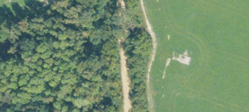 49.46 Acres Open Farmland