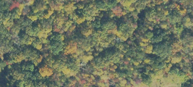 Wooded Estate Lot For Sale