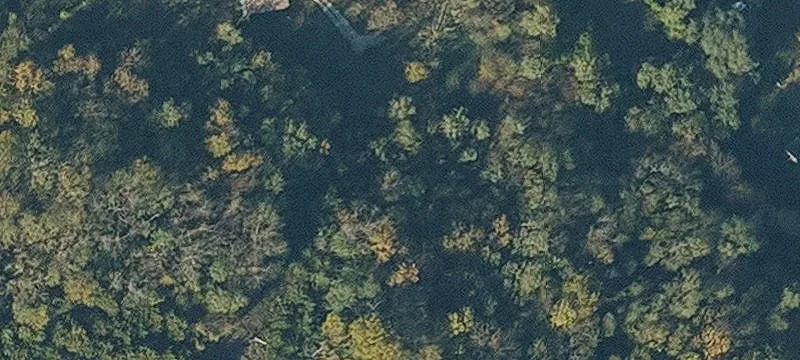44 Acres Wooded Land