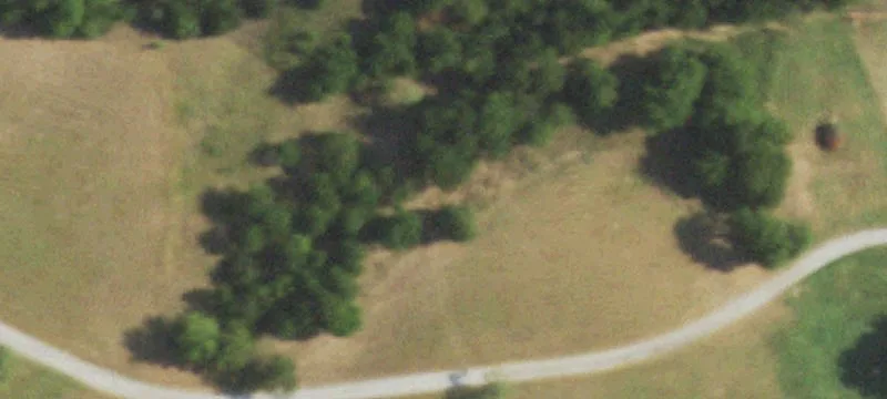 6 Acres of Raw Land