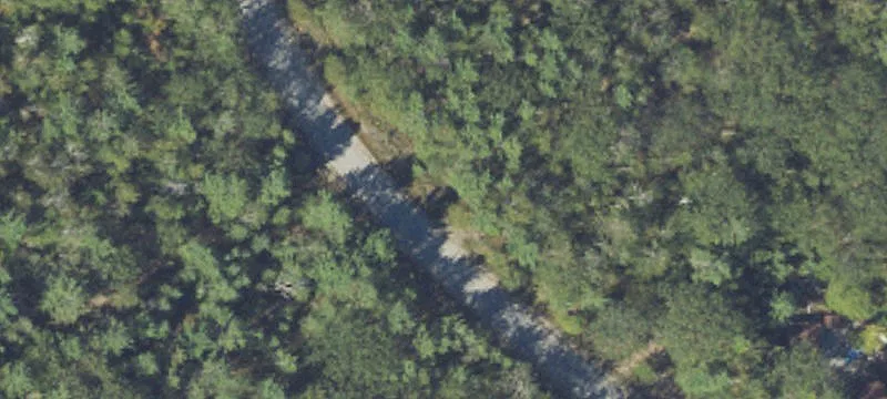 Wooded Lot Near Presque Isle