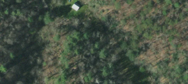 Secluded Wooded Acreage Near Hot Springs