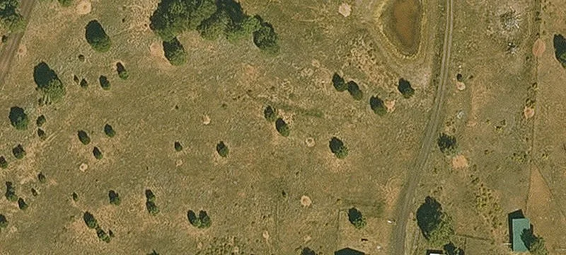 Home and Guest Home on Acres