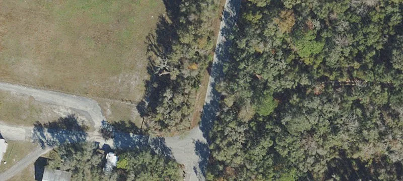 5-Acre Farm with Pine Trees