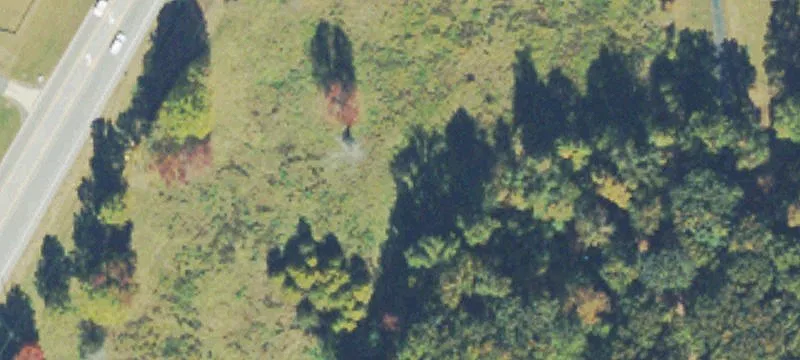Commercial Land on Cleveland Highway