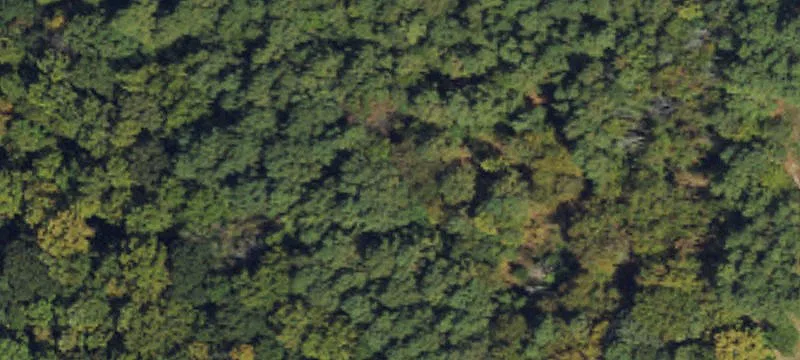 Durham County Homesite on Highway