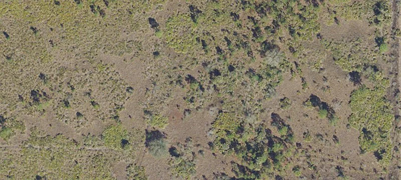 Expansive Land in Golden Ranches