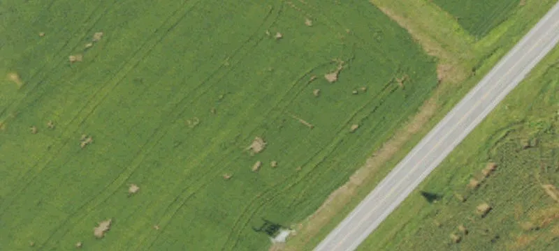 Agricultural Land Auction in Harned
