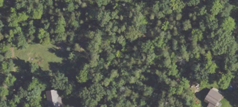 Picturesque Wooded Land Near Recreation