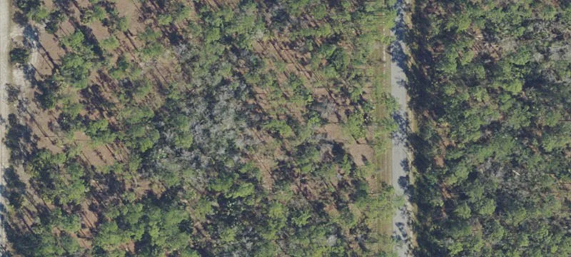 Half Acre Plot For Sale