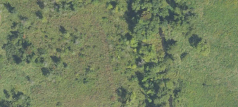 20-Acre Buchanan Farm Opportunity