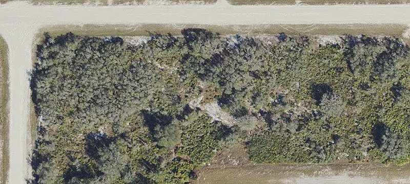Oversized Lot in Avon Park