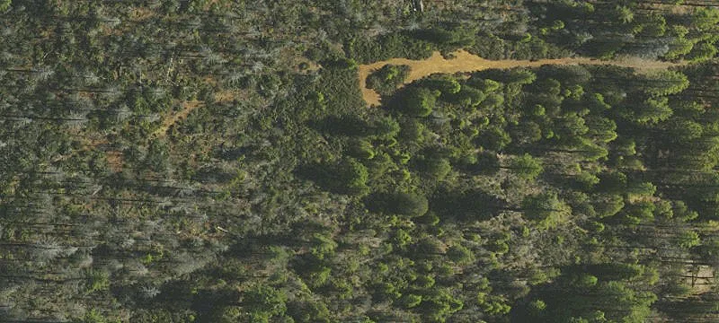 Secluded Land Near Lake Selmac