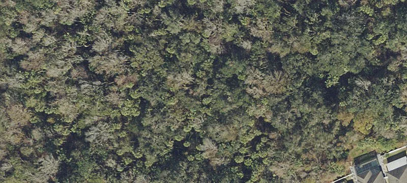 Land Near Magnolia Village
