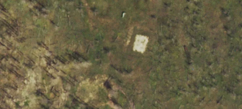 Black Forest Treed Land Parcel
