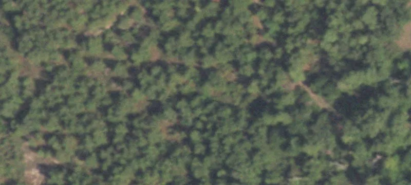 Unrestricted Acreage with Custom Barndo