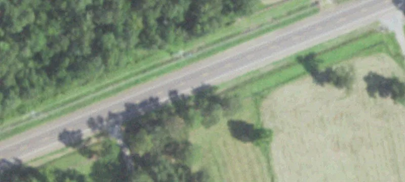 Texas Ranch with Artesian Well