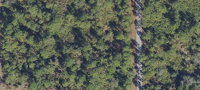 Land for Sale in Alva