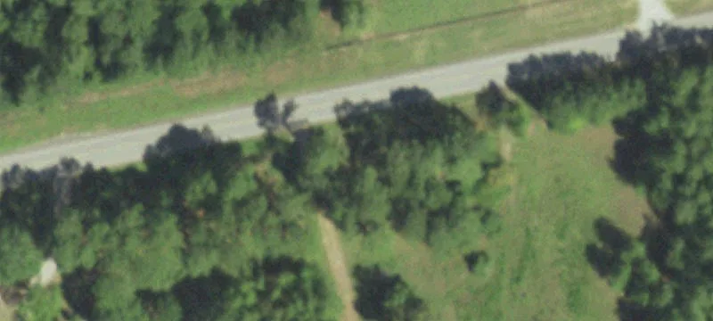 Country Home with Farm Potential