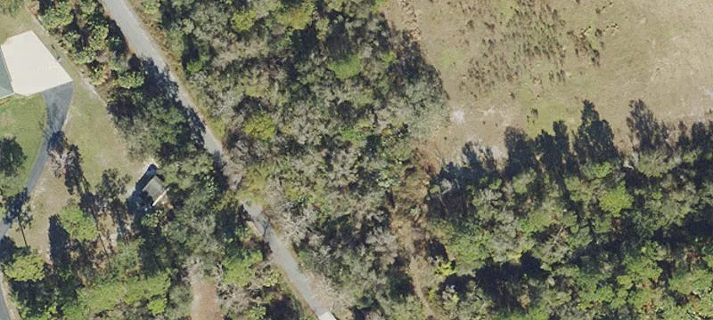 Land For Sale in Mims