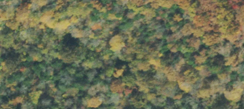 Unrestricted Wooded Acreage with Pond