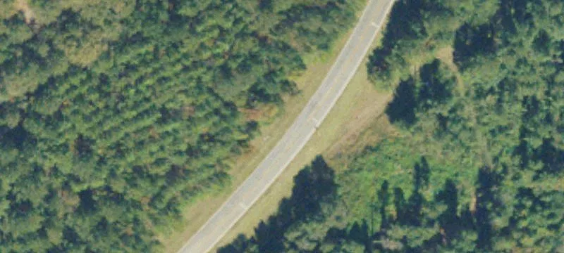 Unrestricted Land Near Highway 19