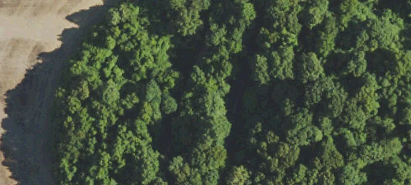 Hickman, Kentucky 72-Acre Farm