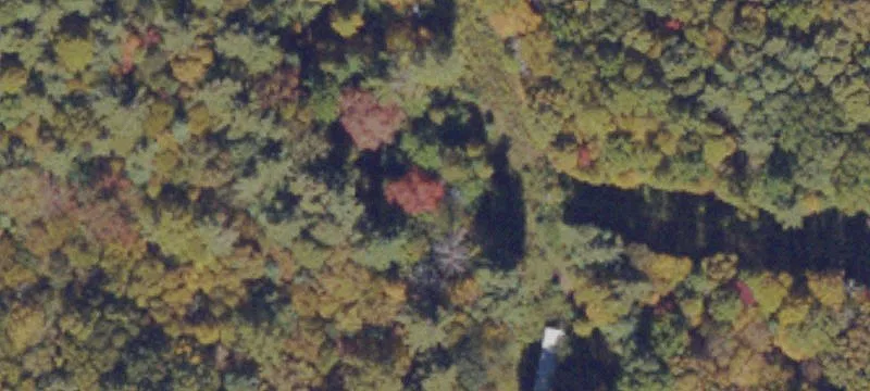 28.5 Acres Wooded Land