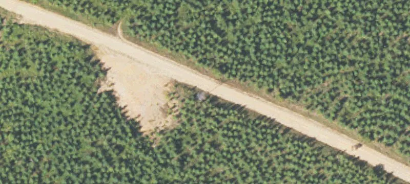 Muscadine Acreage with Renovation Opportunity