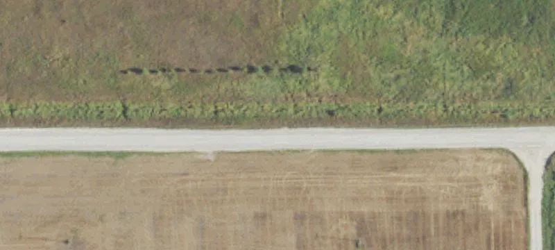 Cannabis Cultivation Facility with Licenses