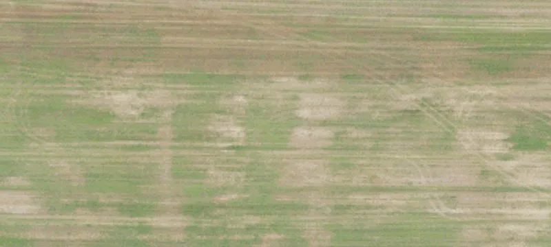 Agricultural Land Parcel