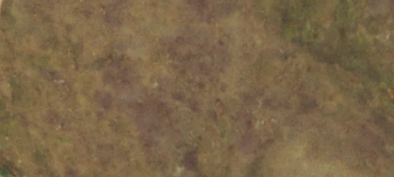 Agricultural Land Parcel