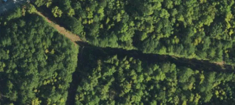 Cleared Land with Wooded Area