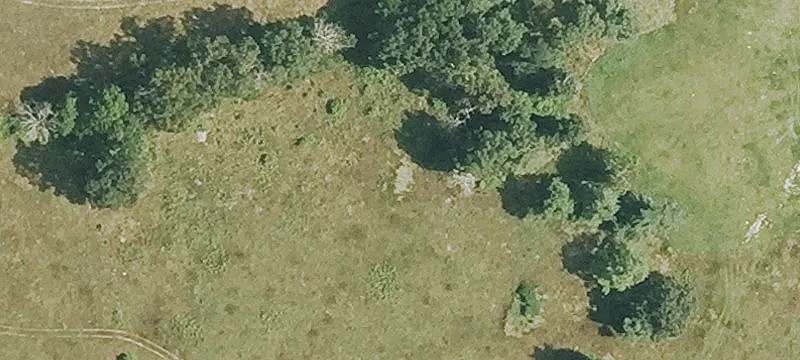 Scenic Pasture Farmland Tract