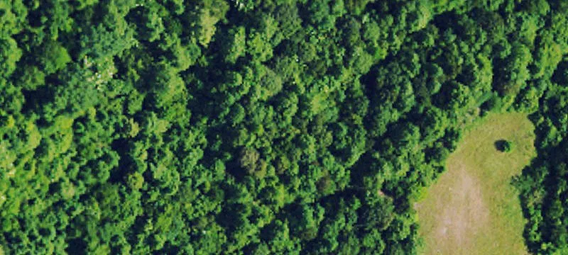 Agricultural Land Parcel