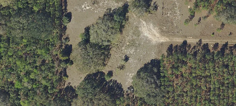 Contiguous Land Holding