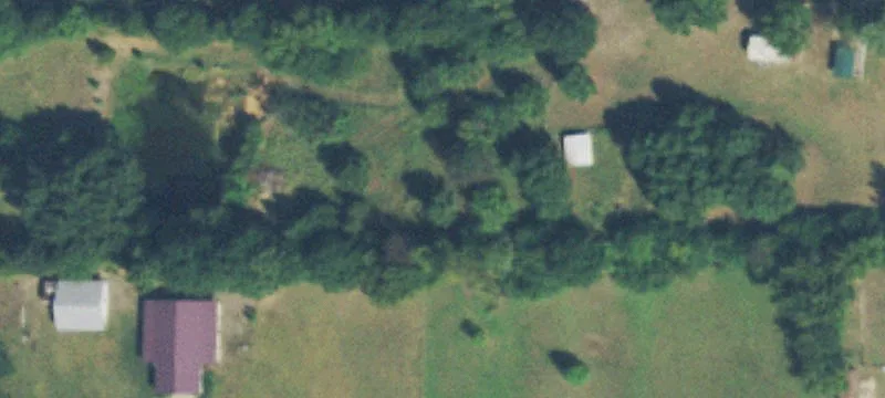 Native Timber Land Tracts