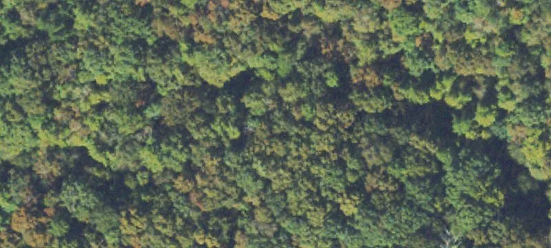Wooded Residential Home Site