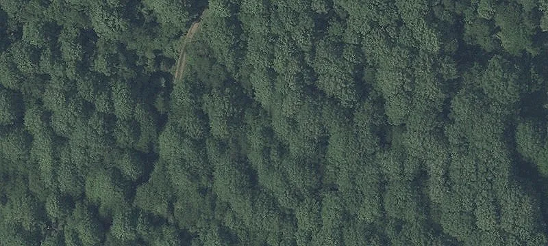 Agricultural Reserve Land with Two-Story Home