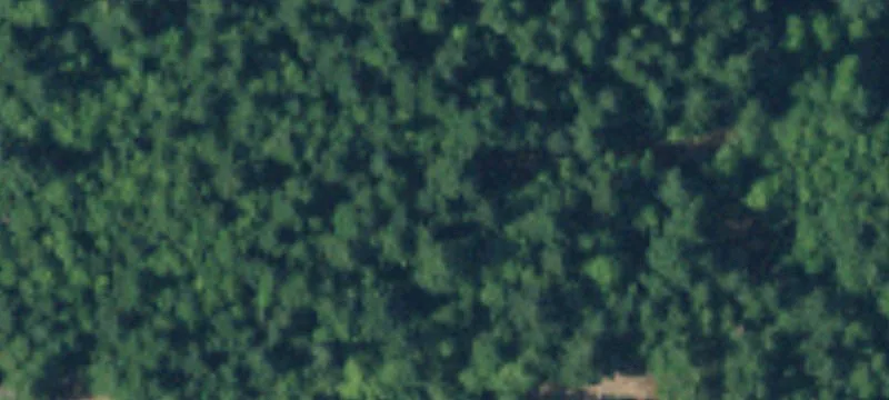 Secluded Buildable Home Lot