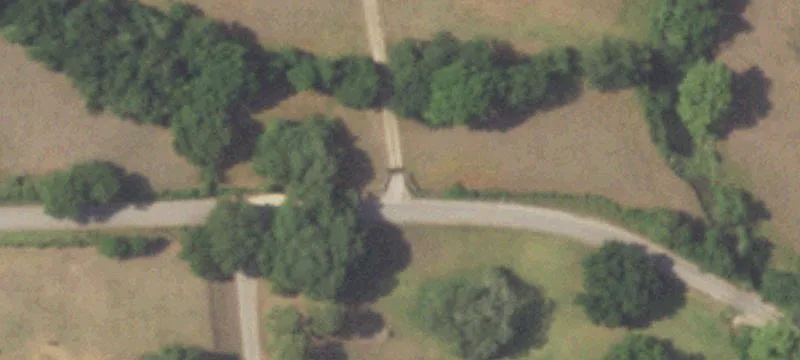 Agricultural Land with Live Oaks