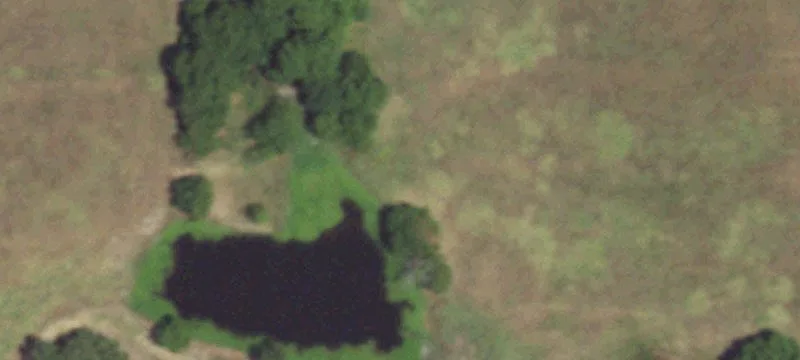 Turnkey Livestock Ranch with Home