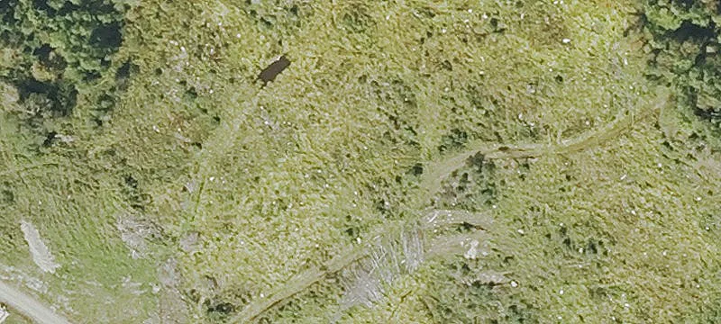 Wooded Recreation Land for Camp